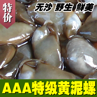 启东吕四海鲜 无沙醉泥螺 新鲜黄泥螺 AAA级特大泥螺 4斤以上包邮