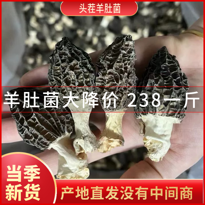 新货头茬小羊肚菌干货250g云南高原羊肚菇干蘑菇特产煲汤肉质厚实