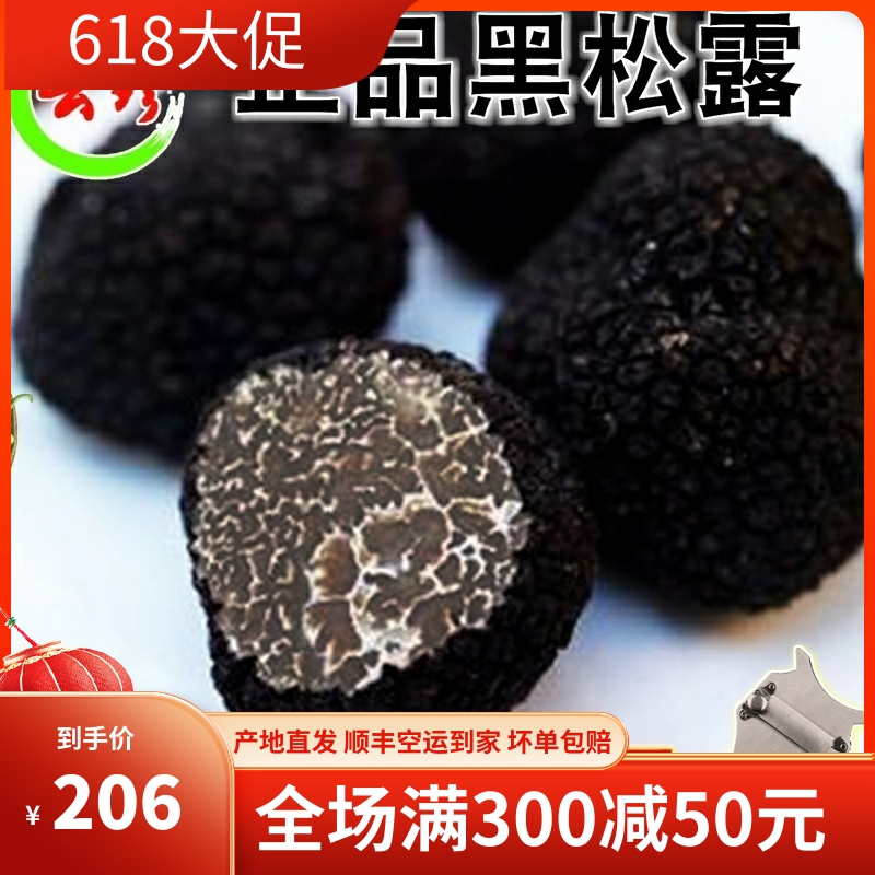 现货鲜黑松露500g云南野生菌正品