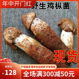 2024年现货新鲜野生鸡枞菌500g鸡纵云南野生菌特产鲜火把菌鸡枞