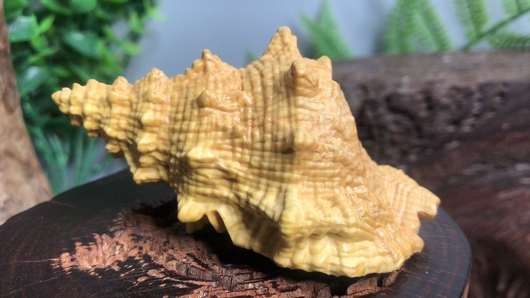 小叶黄杨木雕实木雕刻海螺法螺工艺品佛音吉祥文玩男女士手把件