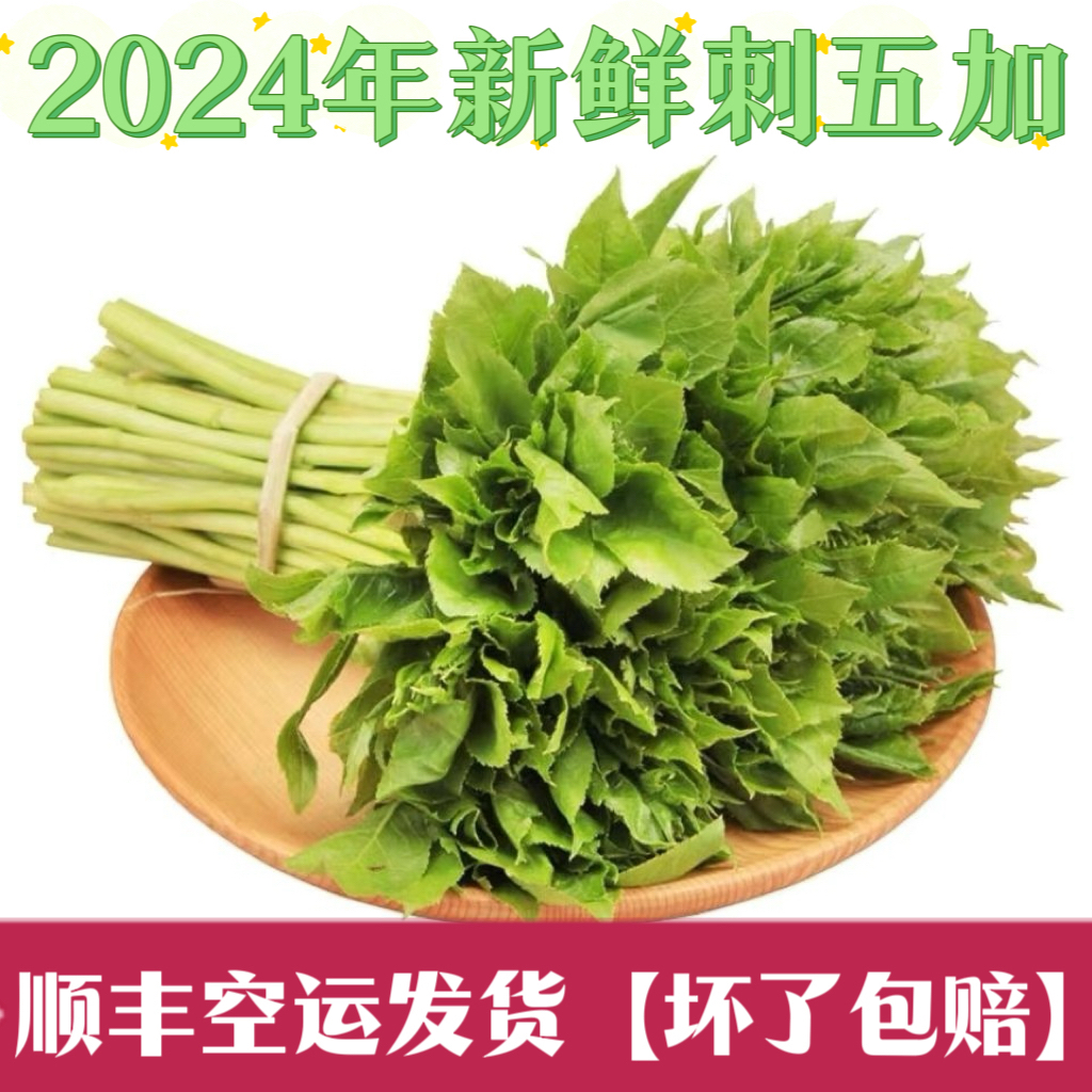 东北特产山野菜刺五加野菜新鲜刺果棒刺拐棒时令蔬菜顺丰保鲜发货