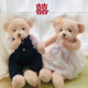 可爱情侣熊毛绒玩具婚纱泰迪熊压床娃娃一对婚房公仔创意结婚礼物