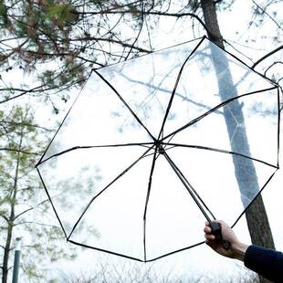 ?透明折叠加固八骨超大抗风双人伞三折雨伞透明男女雨伞透明