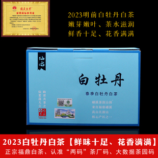 2023仙屿福鼎白茶花香白牡丹散茶磻溪高山深山白茶500克一级