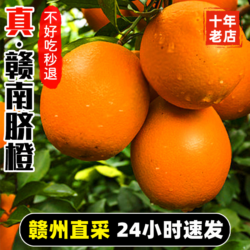 橙子江西赣南新鲜脐橙10斤新鲜榨汁