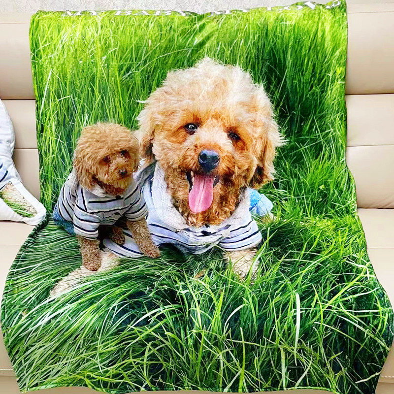 diy customized Flannel Blanket Siesta air conditioner Photo blanket Pets Shawl sofa Blanketin the Personalized custom/Design Services/DIY , Other customized , Other product customization category - from Buy2taobao.com to provide professional Taobao agent buy service