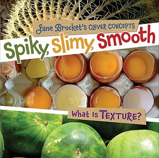 【预售】Spiky, Slimy, Smooth: What Is Texture?