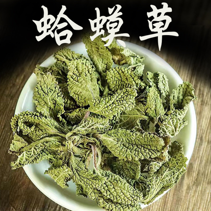 蛤蟆草干的中药种子新鲜500g瘌癞赖蛤蟆草哈蟆草蟾蜍草荔枝青蛙草