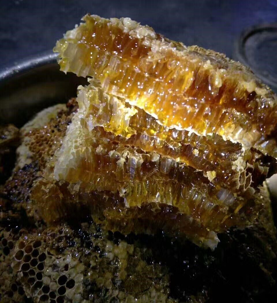 自产青川农家土蜂瓶装500gg取四川500纯正一次一年深山天然蜂蜜野