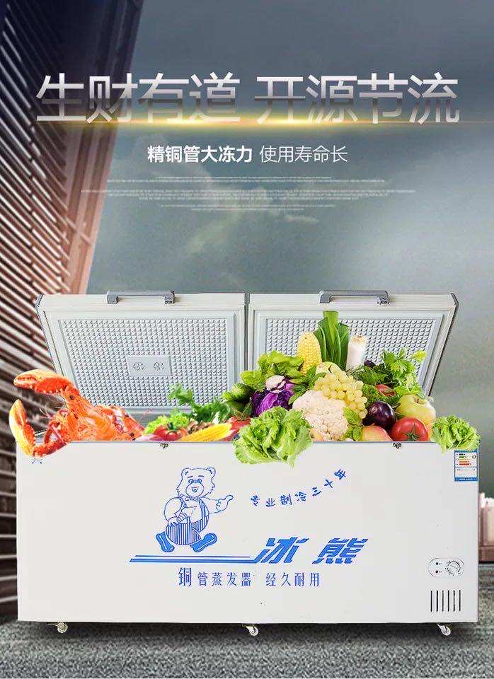 hnbx 河南冰熊 177 197 217 239l双温大冷冻的小冷藏家用商用冰柜