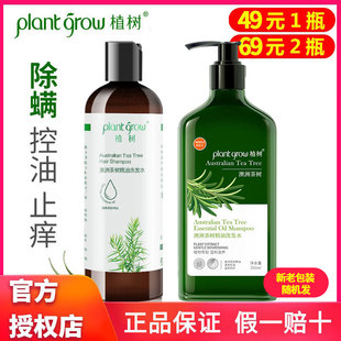 正品plantgrow植树澳洲茶树精油洗发水正迷迭香控油去屑止痒 2瓶6