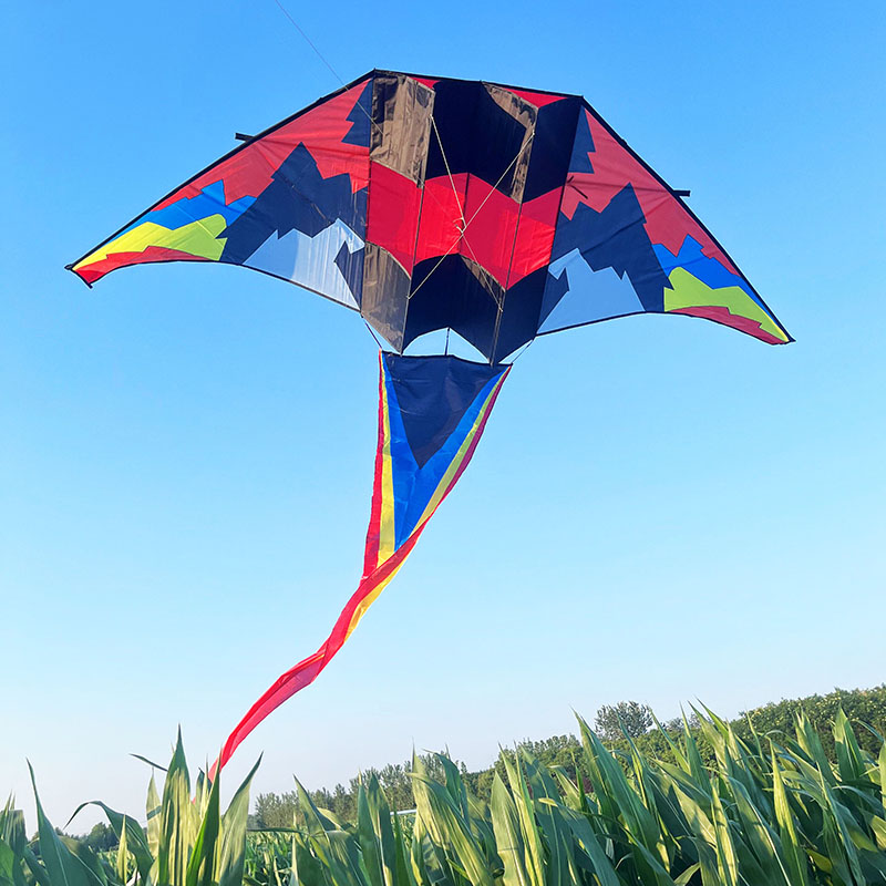 潍坊风筝新款大型滑翔机风筝成人专用