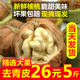 2025新鲜湿核桃去青皮生核桃新鲜薄皮核桃孕妇