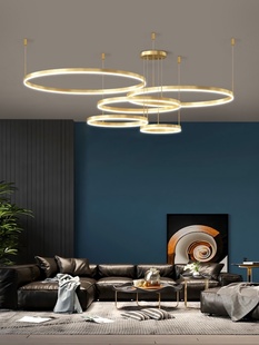 现代风简约LED圆形吊灯家用客厅商铺吊灯定制圆环形灯具