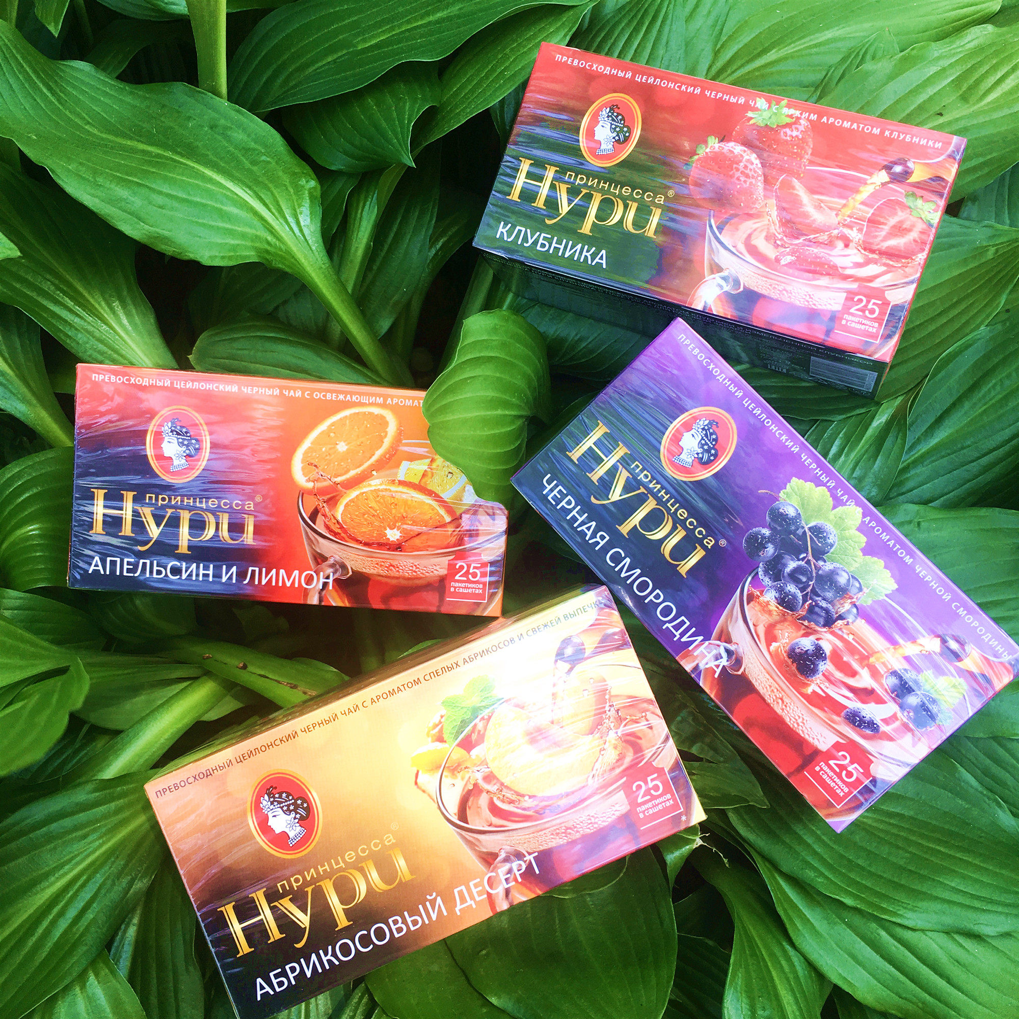 热销俄罗斯果茶 hypn公主