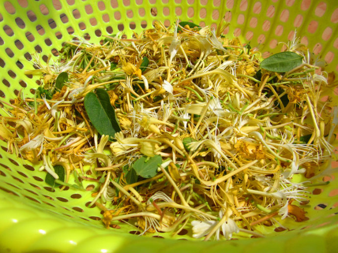 天然晒干金银花纯自家种植现采