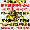 沂蒙十爪全蝎 蝎子活体 活蝎子 野生蝎子 油炸入药泡酒 30只包邮 沂蒙十爪全蝎 蝎子活体 活蝎子 野生蝎子 油炸入药泡酒 30只包邮