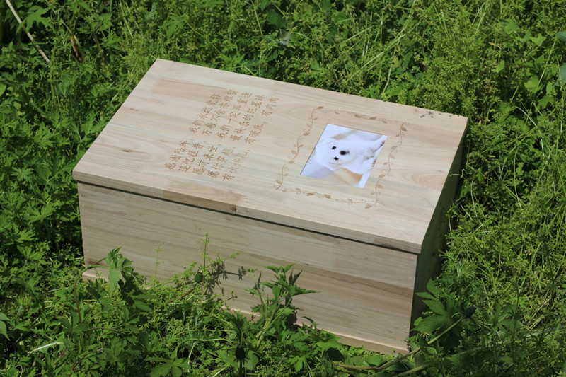 宠物棺材宠物安乐窝猫咪棺材狗狗棺材爱宠土葬木箱猫狗去世小棺材