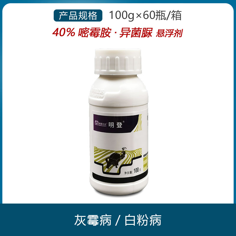 明德立达明登40嘧霉胺异菌脲葡萄草莓番茄蔬菜灰霉病杀菌剂农药
