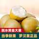 黄金罗汉果大果干果广西桂林永福特产小包装低温脱水罗汉果茶泡水