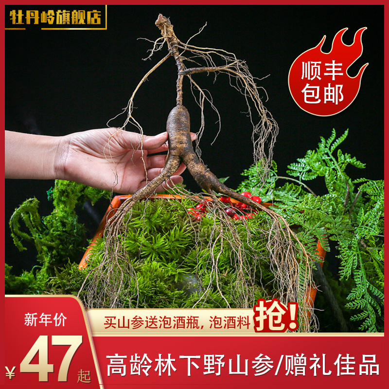 Mudanling Mountain Northeast ginseng Changbai Wild ginseng fresh Forest Senate 20 Pruning Paojiu Gift boxin the Traditional nourishing food , Ginseng tonic , Wild ginseng category - from Buy2taobao.com to provide professional Taobao agent buy service