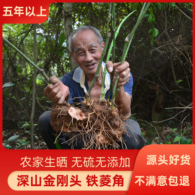 深山金刚藤头500g菝葜菱角冷饭头铁刺草药无硫煲汤干货其他药食同源