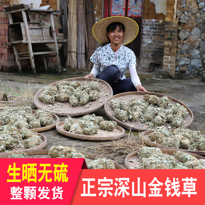 金钱草草药深山无硫药材泡水花草茶整