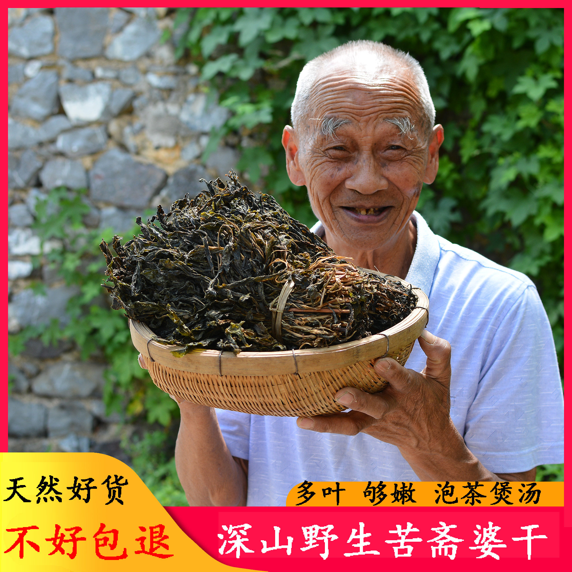 天然野生苦斋婆500g农家无硫苦菜干煲汤料广东汤料包败酱草养生茶