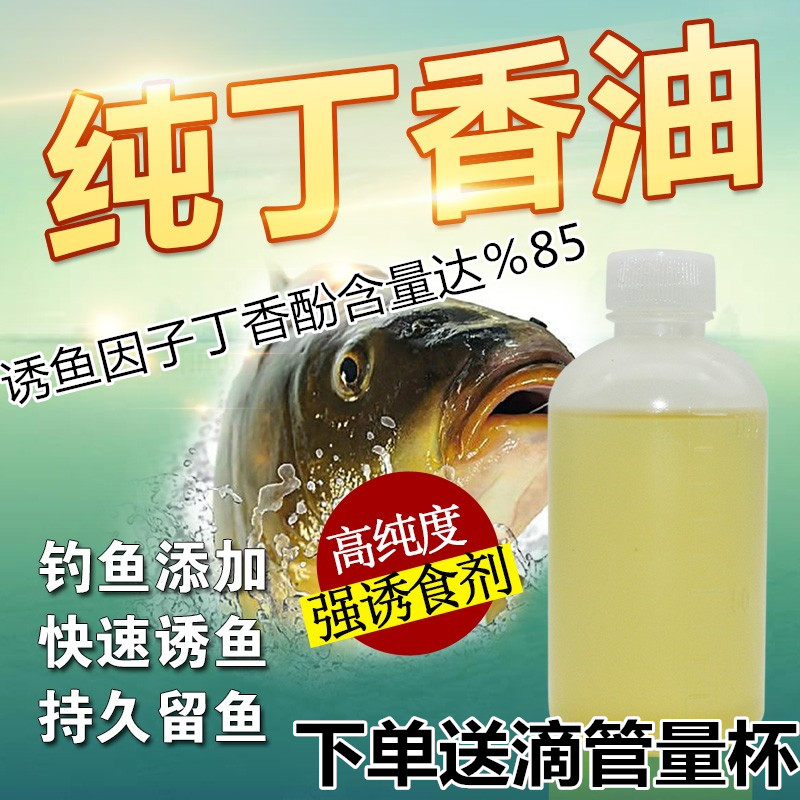 纯丁香油垂钓鱼小药鲤鱼鲫鱼泡酒米窝料丁香油沾红虫蚯蚓包邮