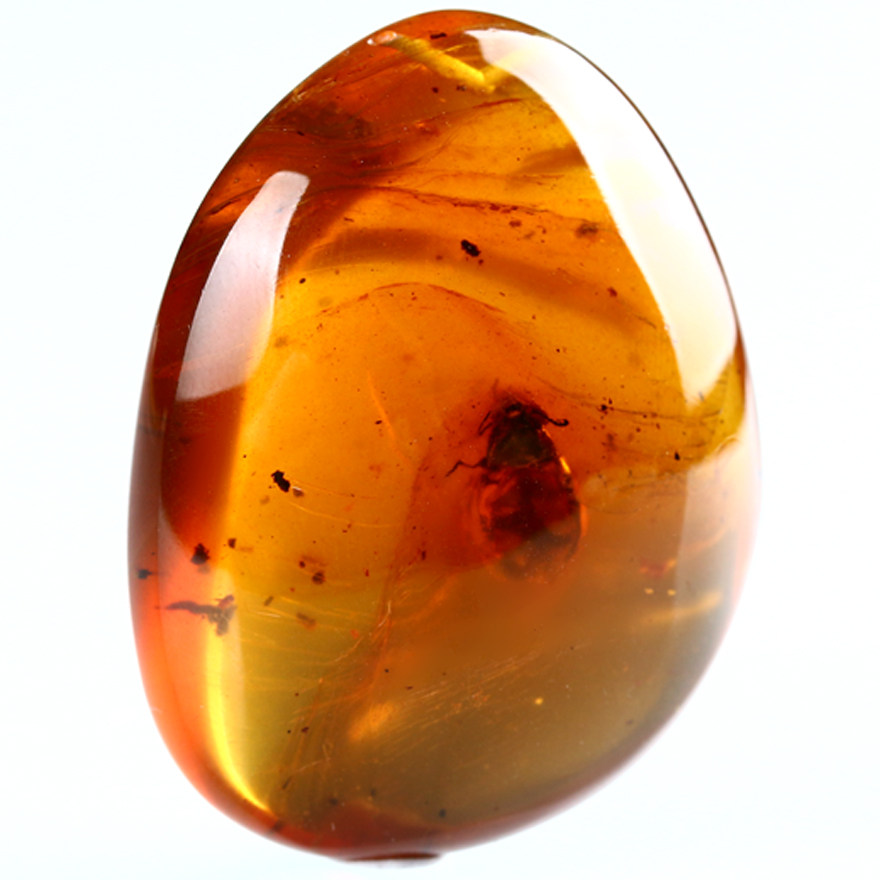 10.77克 【强荧光】收藏级 罕见大个虫 高品质 大颗虫珀随形挂件