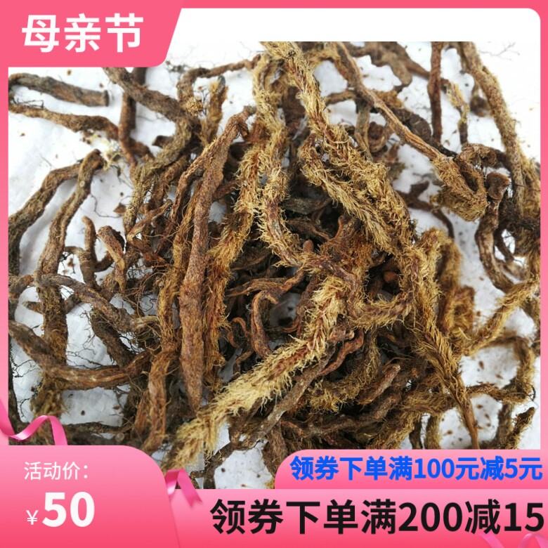 中药老鼠尾石蚕白毛蛇根上树蛇白毛岩蚕白毛伸筋石祈蛇岩蚕毛石蚕