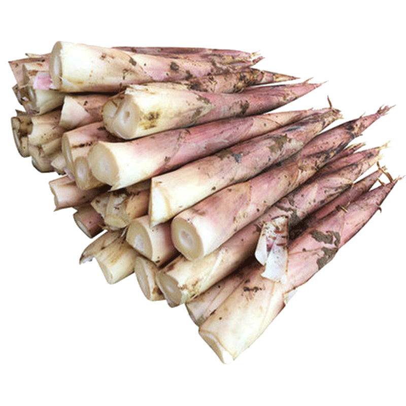 现挖冬笋江西鲜竹笋五斤装新鲜农家春笋油焖雷笋中竹笋果早笋野生_不