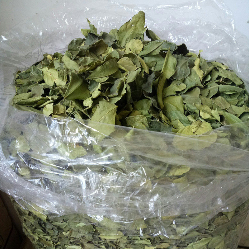 皱皮柠檬叶干泰国干柠檬叶毛里橙叶酸柑叶冬阴功底料配香茅草南姜