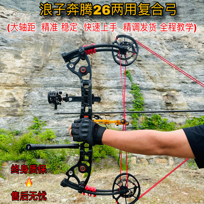奔腾26两用复合弓打钢珠射箭-买酒网