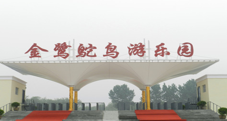 金鹭鸵鸟游乐园
