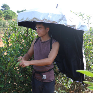 双肩背包伞骑车舒适可背太阳伞钓鱼采茶防风摘花伞遮阳伞务农背伞