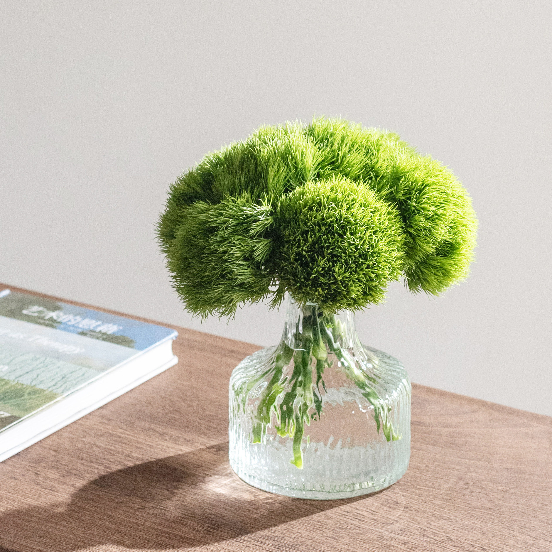 新品真软萌鲜花绿毛球花草集严选鲜切桌面鲜花小众