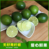 新鲜青柠进口水果无籽小个青柠檬皮薄多汁坏果包赔满件包邮500克 新鲜青柠进口水果无籽小个青柠檬皮薄多汁坏果包赔满件包邮500克