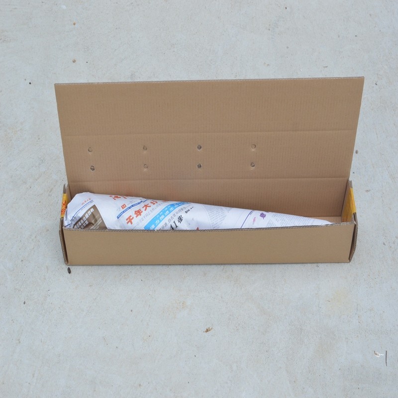 【冯达锋国兰】兰花苗专用包装箱邮寄纸箱