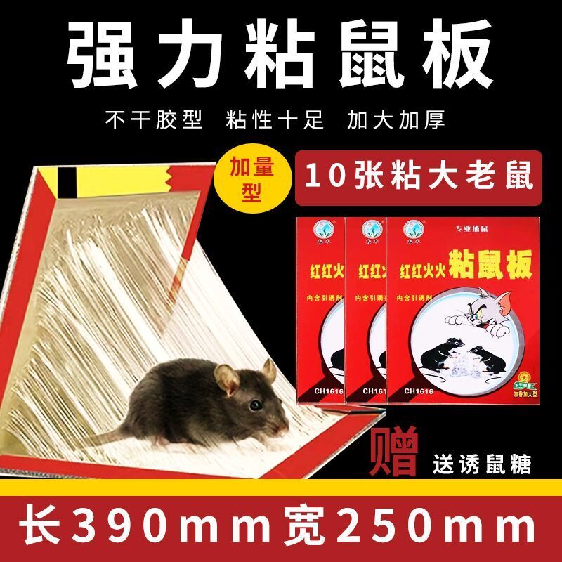 超强力老鼠粘加大粘鼠板抓逮大老鼠贴克星灭鼠捕鼠一窝端家用神器