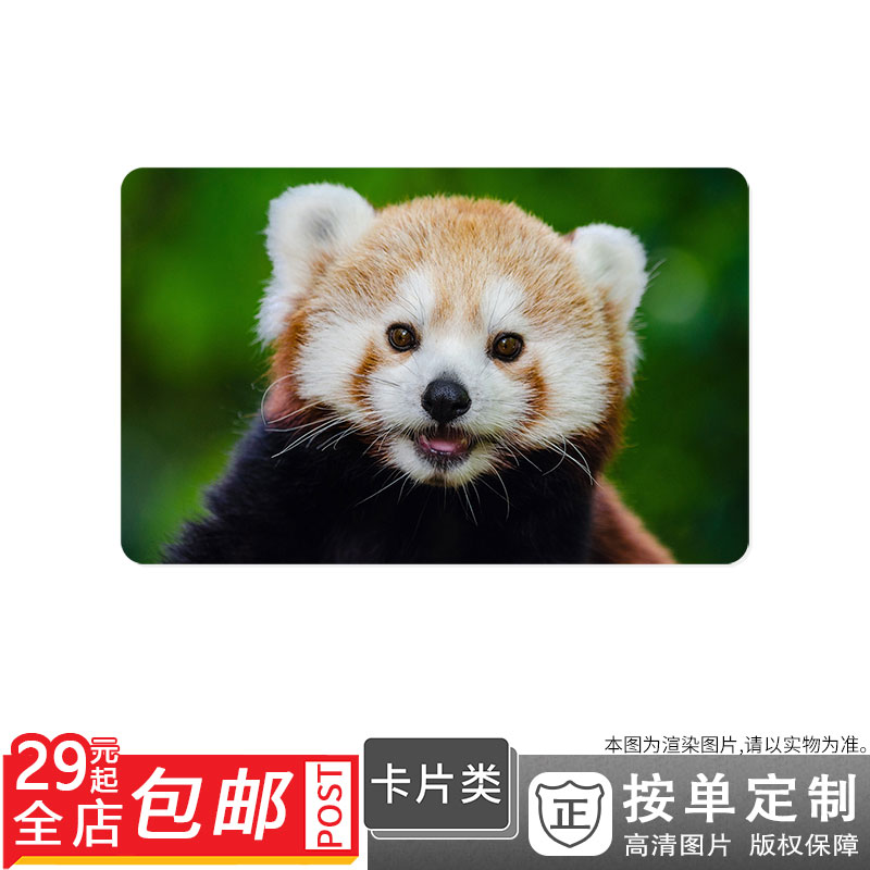 59965 红猫熊肖像阿博雷尔小熊猫寻找卡贴双面卡单面卡防晒|msdalam kategori adat peribadi/Design Services/DIY, penyesuaian lain, Produk-produk lain disesuaikan - dari Buy2taobao.com untuk memberikan perkhidmatan ejen Taobao profesional membeli