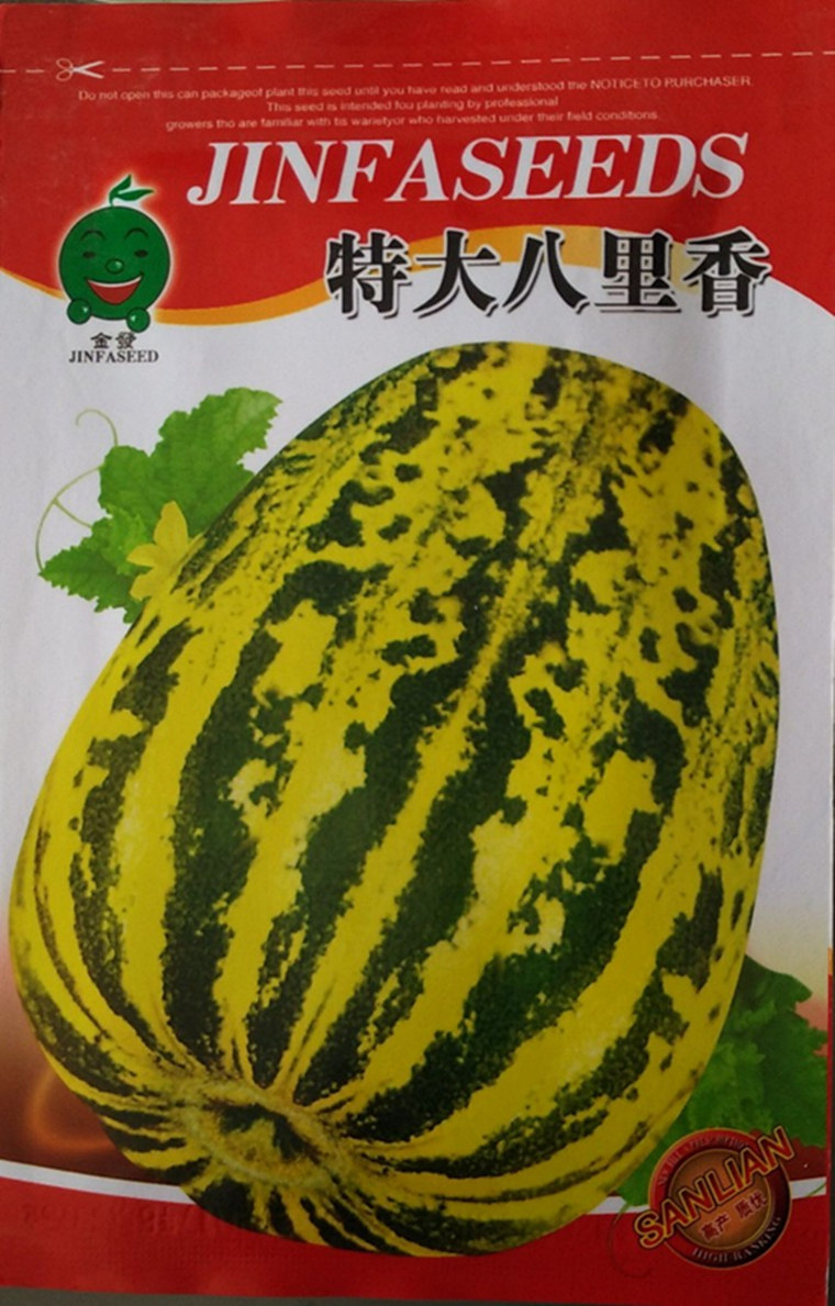 甜瓜种子【特大八里香】早熟四季播香瓜/高档/蔬菜瓜水果花卉籽