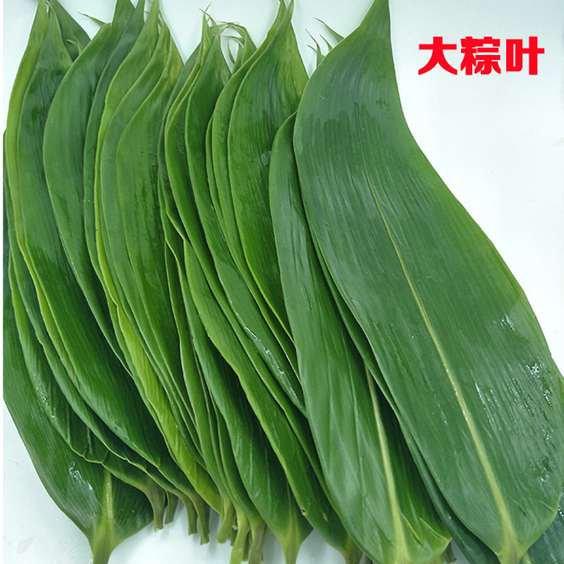粽叶免邮新鲜大