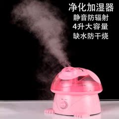 空气加湿器静音迷你空调房卡通卧室保湿器家用香薰超大容量办公