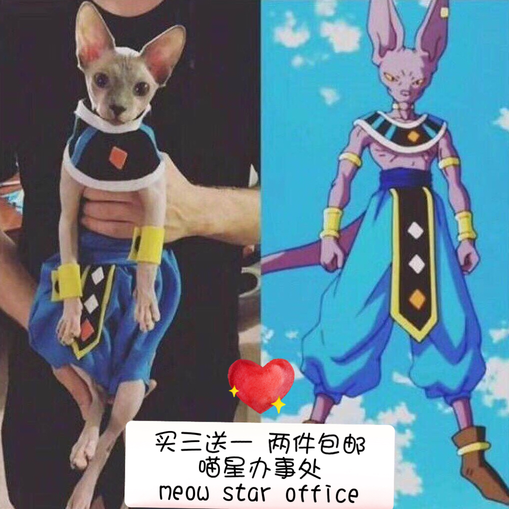 斯芬克斯无毛猫衣服龙珠破坏神比鲁斯大人兄弟象帕纯棉防脱开裆裤