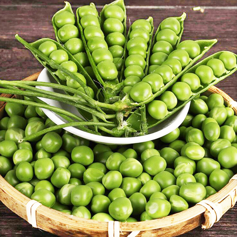 菜豌豆荚新鲜5斤青毛蚕豆现摘吃货农家甜带壳豌豆粒角蔬菜10包邮