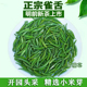 2025新茶明前特级春茶雀舌绿茶米芽贵州湄潭毛尖茶栗香散装250g