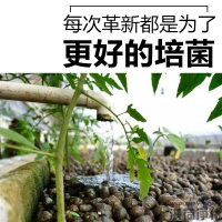 硝化毛球细菌过滤棉消化树脂高效改性纤维球鱼
