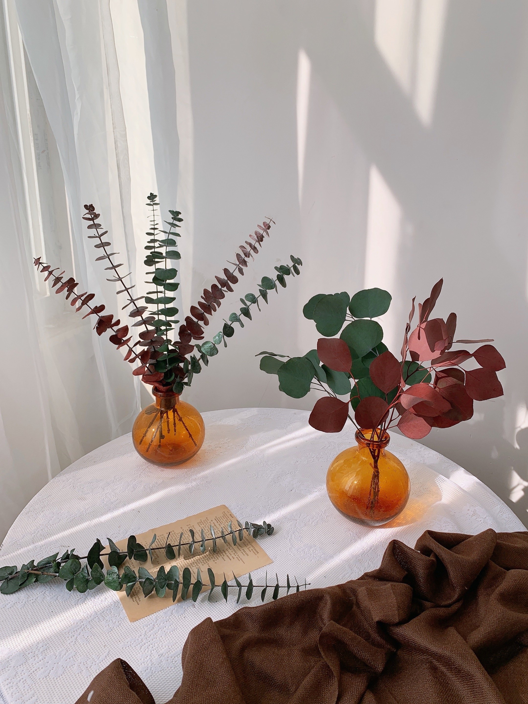 天然真花尤加利叶圆叶干花客厅家居装饰北欧轻奢风苹果桉永生花